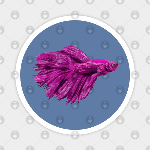 Purple Siamese fighting fish Magnet by rlnielsen4